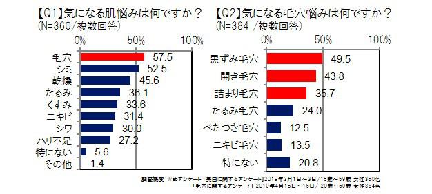 毛穴は女性が最も気になる肌の悩み